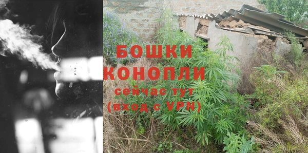 соль ск Ладушкин