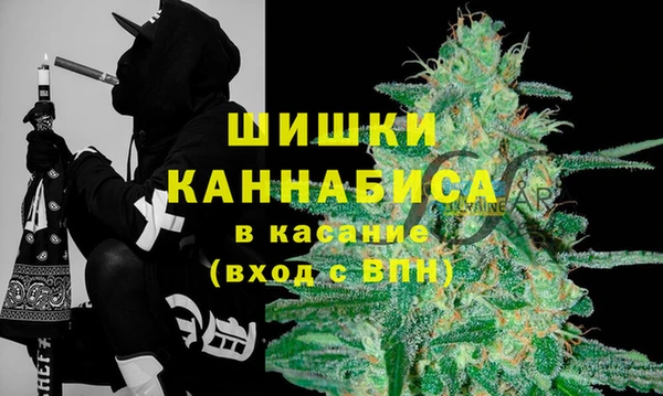 соль ск Ладушкин