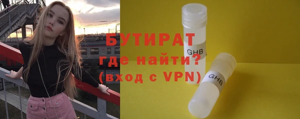 индика Кулебаки