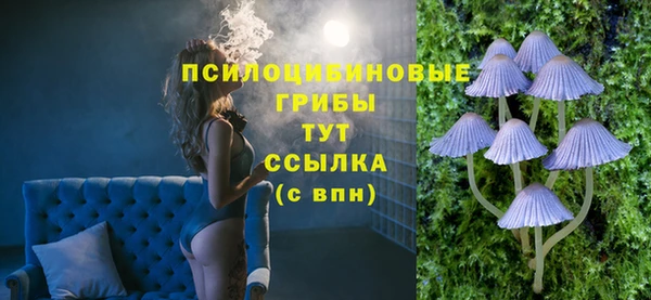 apvp Лабытнанги