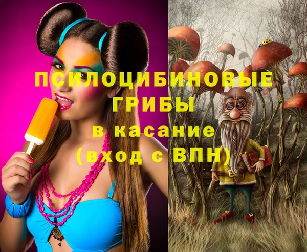 соль ск Ладушкин