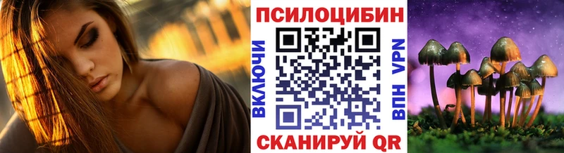 Галлюциногенные грибы Psilocybe  Брюховецкая 